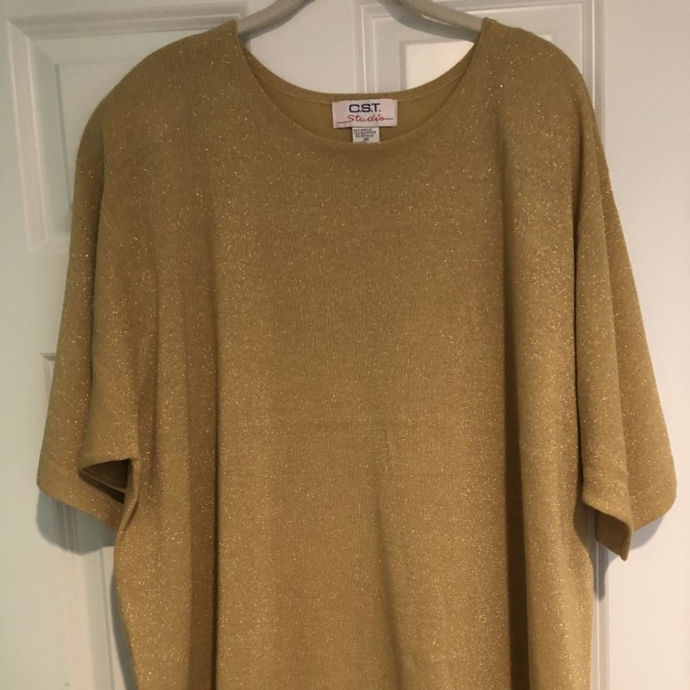 Woman's plus size 3X top with metallic threads